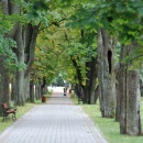 Wysowa -Park Zdrojowy